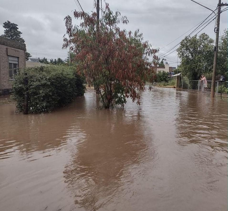 almafuerte lluvia